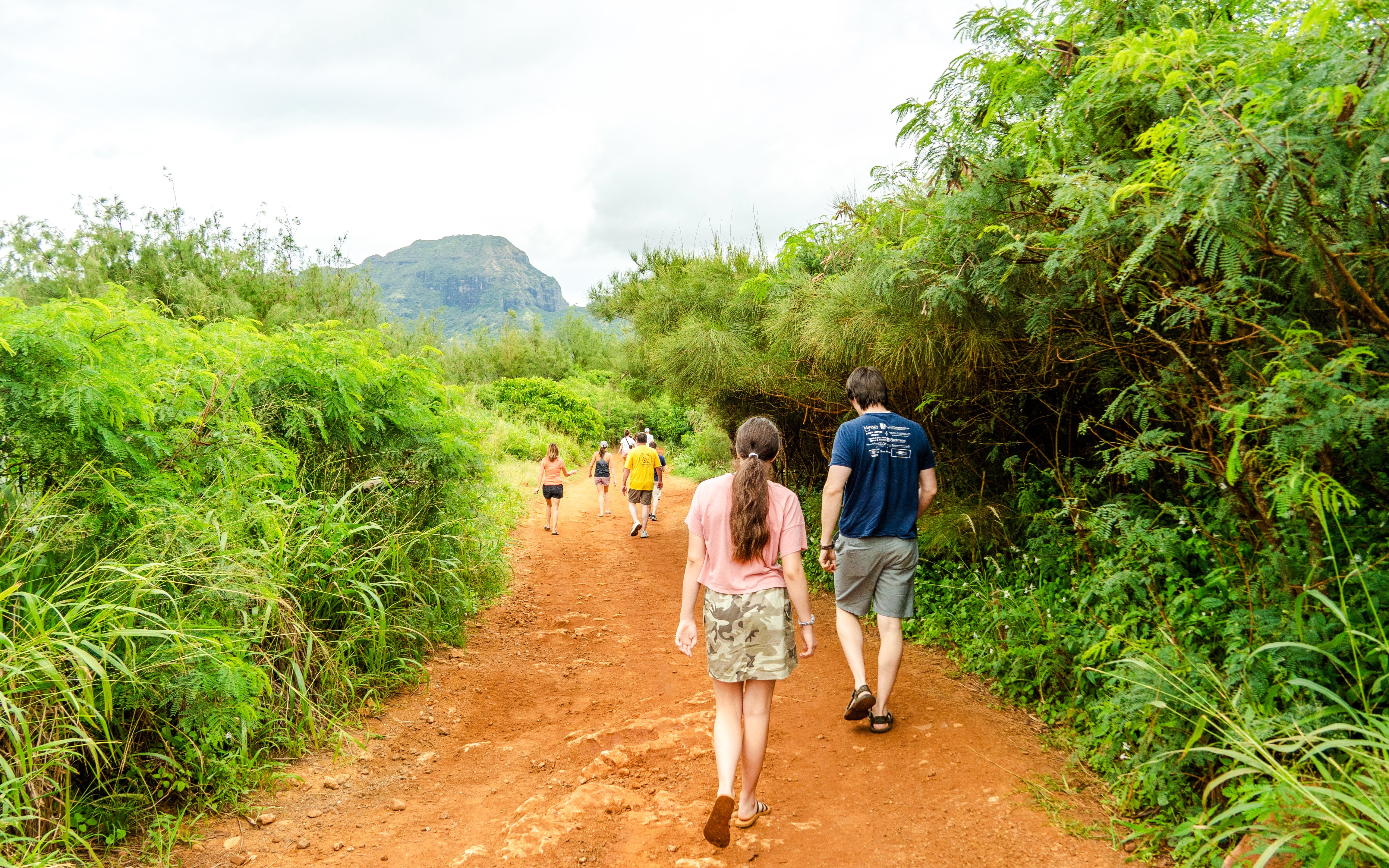 Group hiking on a lush trail with a mountain view on Big Island, Hawaii.