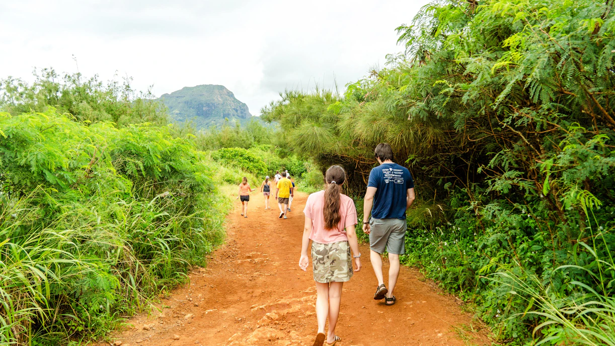 Group hiking on a lush trail with a mountain view on Big Island, Hawaii.