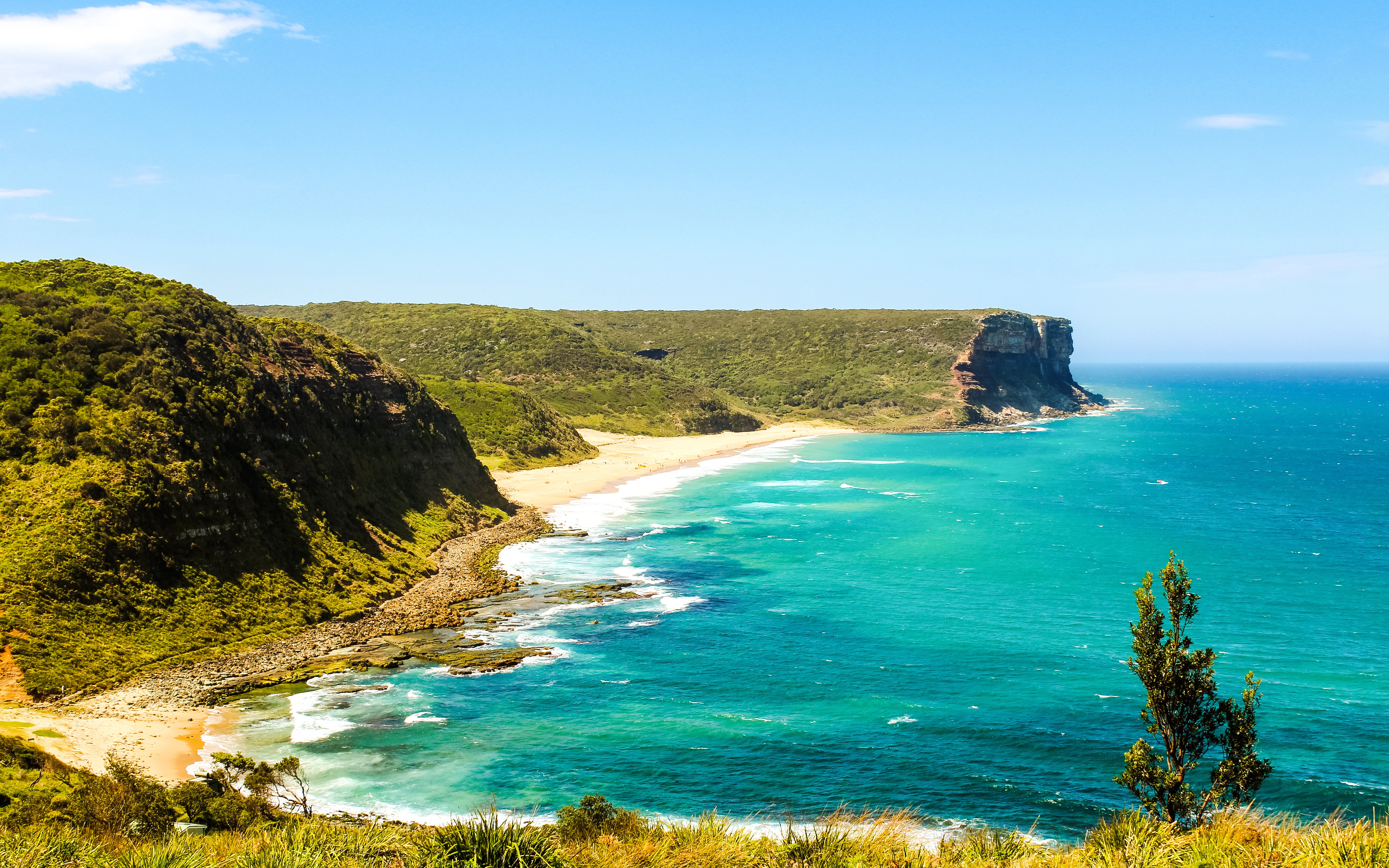 Royal National Park near Sydney