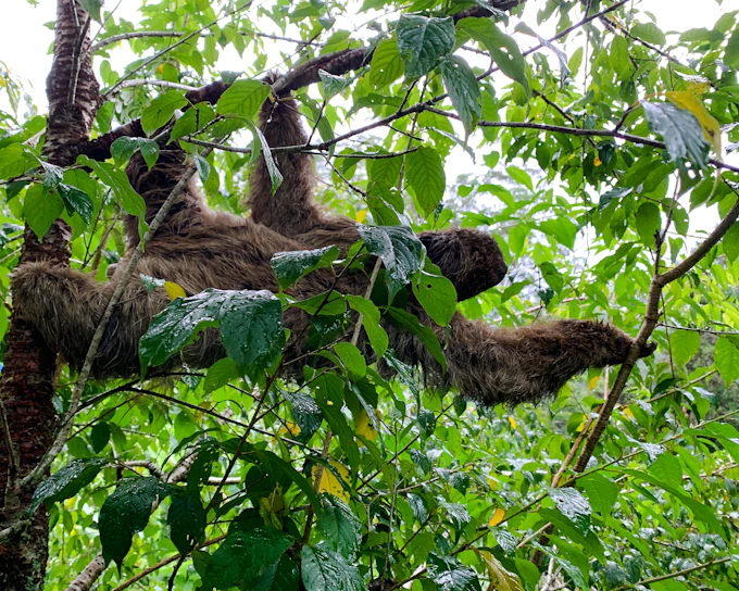 Rio de Janeiro: Tijuca National Park Waterfalls and Caves Small-Group Guided Hike