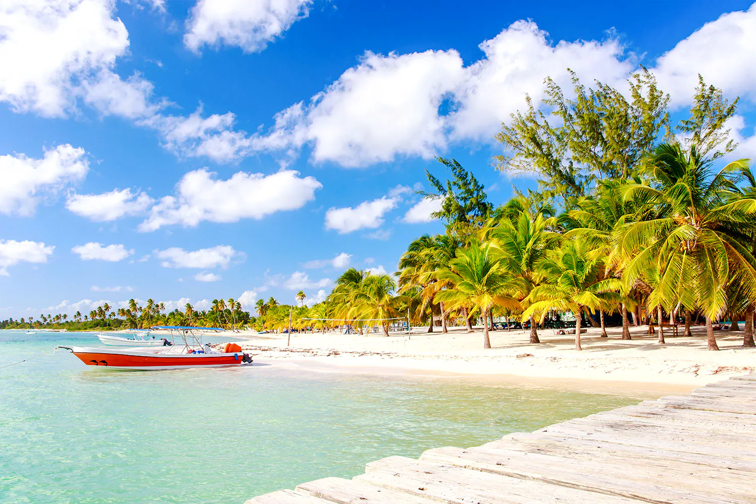 Catamaran anchored near palm-lined beach on Isla Catalina, Punta Cana.