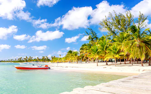 Catamaran anchored near palm-lined beach on Isla Catalina, Punta Cana.