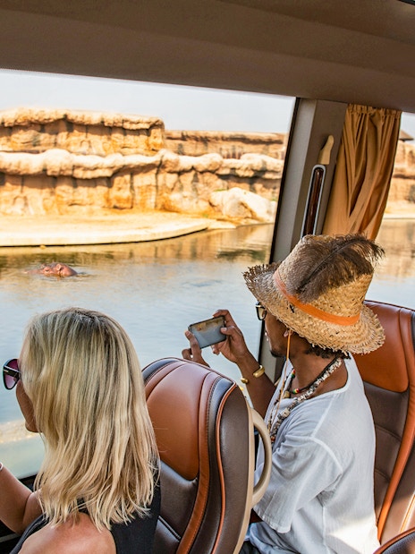 Visitors on a safari bus observing hippos at Dubai Safari Park.