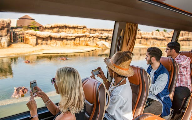 Visitors on a safari bus observing hippos at Dubai Safari Park.