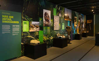 Interior exhibits of Immersive Dinosaur Exhibition at Dino Experience Porto displaying fossils and information panels.