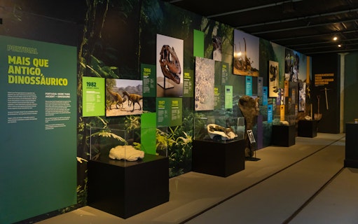 Interior exhibits of Immersive Dinosaur Exhibition at Dino Experience Porto displaying fossils and information panels.