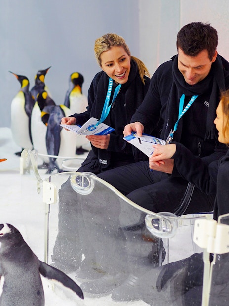 Penguins interacting with visitors at SEA LIFE Melbourne.