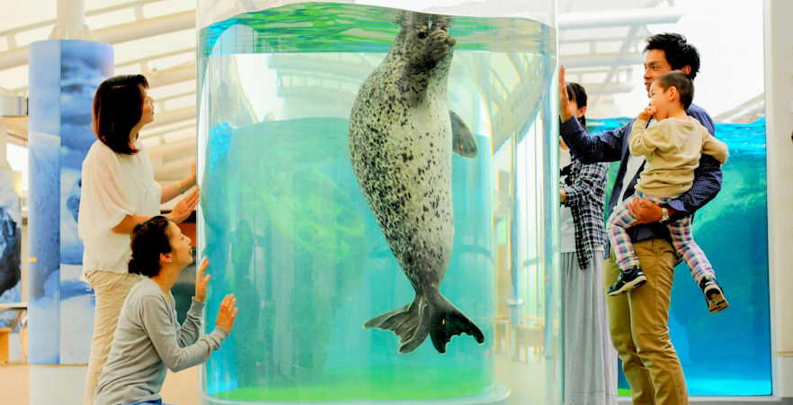 Spotted seal swimming upward in a cylindrical tank at Kyoto Aquarium, Japan, with visitors observing.