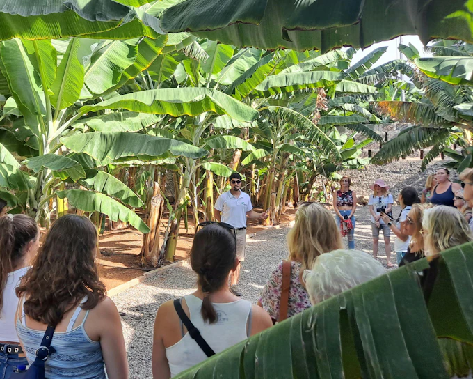 Gran Canaria: Banana World Guided Tour & Tasting