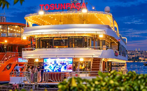 Bosphorus dinner cruise ship with partygoers, Istanbul skyline in background.
