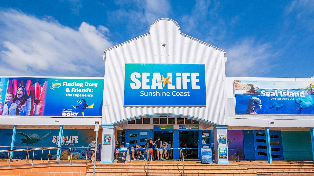 SEA LIFE Sunshine Coast aquarium with diverse marine life exhibits and visitors exploring.