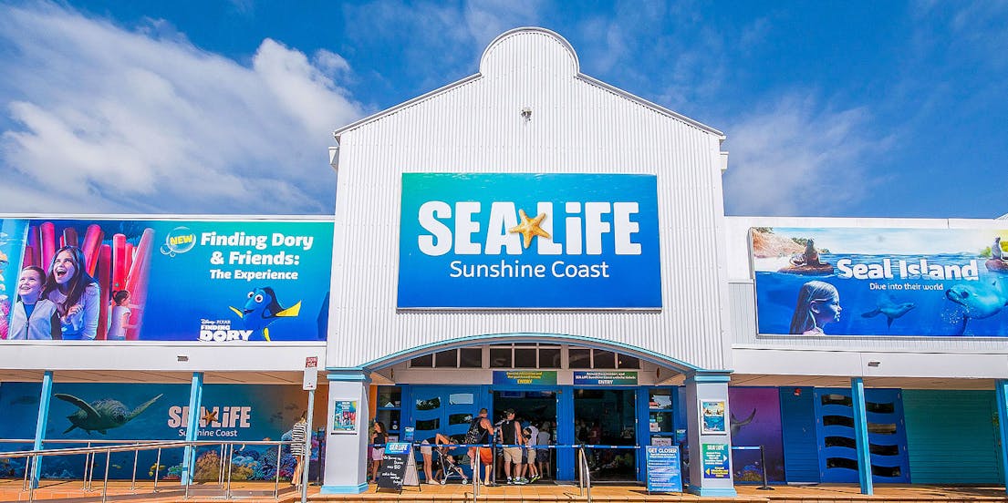 SEA LIFE Sunshine Coast