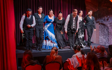 Performers bowing at Palau Dalmases Flamenco Show in Barcelona.