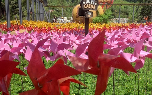 Colorful pinwheels in a field at Dairyland Riverside Puncak with a sign for Dove Castle.