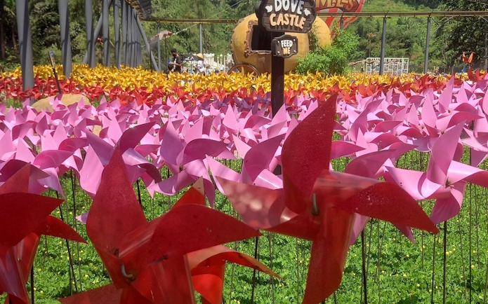 Colorful pinwheels in a field at Dairyland Riverside Puncak with a sign for Dove Castle.