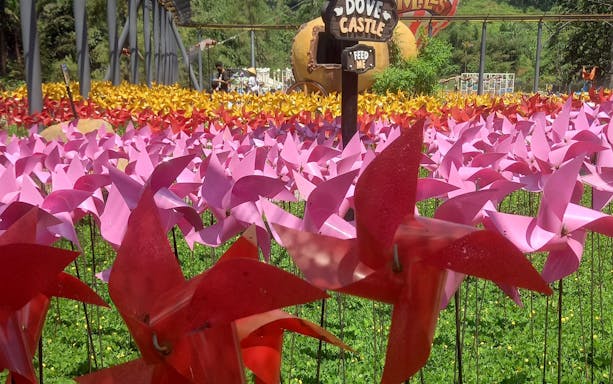Colorful pinwheels in a field at Dairyland Riverside Puncak with a sign for Dove Castle.