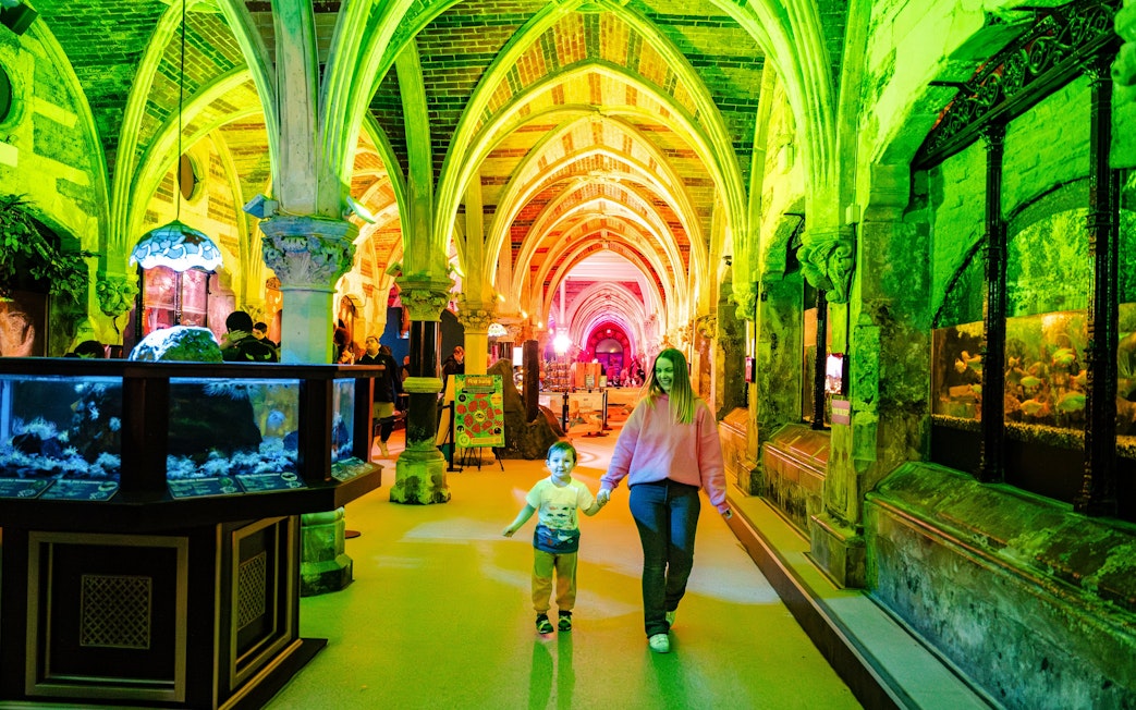 Visitors exploring SEA Life Brighton's illuminated aquarium corridor.