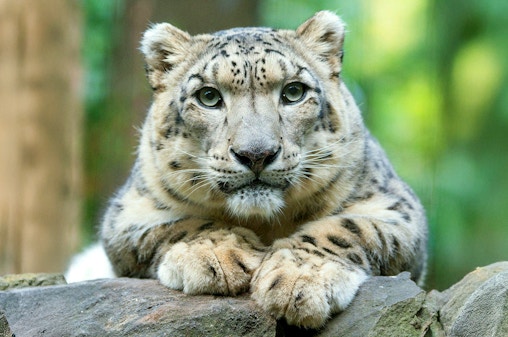 Central Park Zoo Tickets