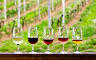 Wine glasses with various wines in a vineyard setting, Rio de Janeiro.