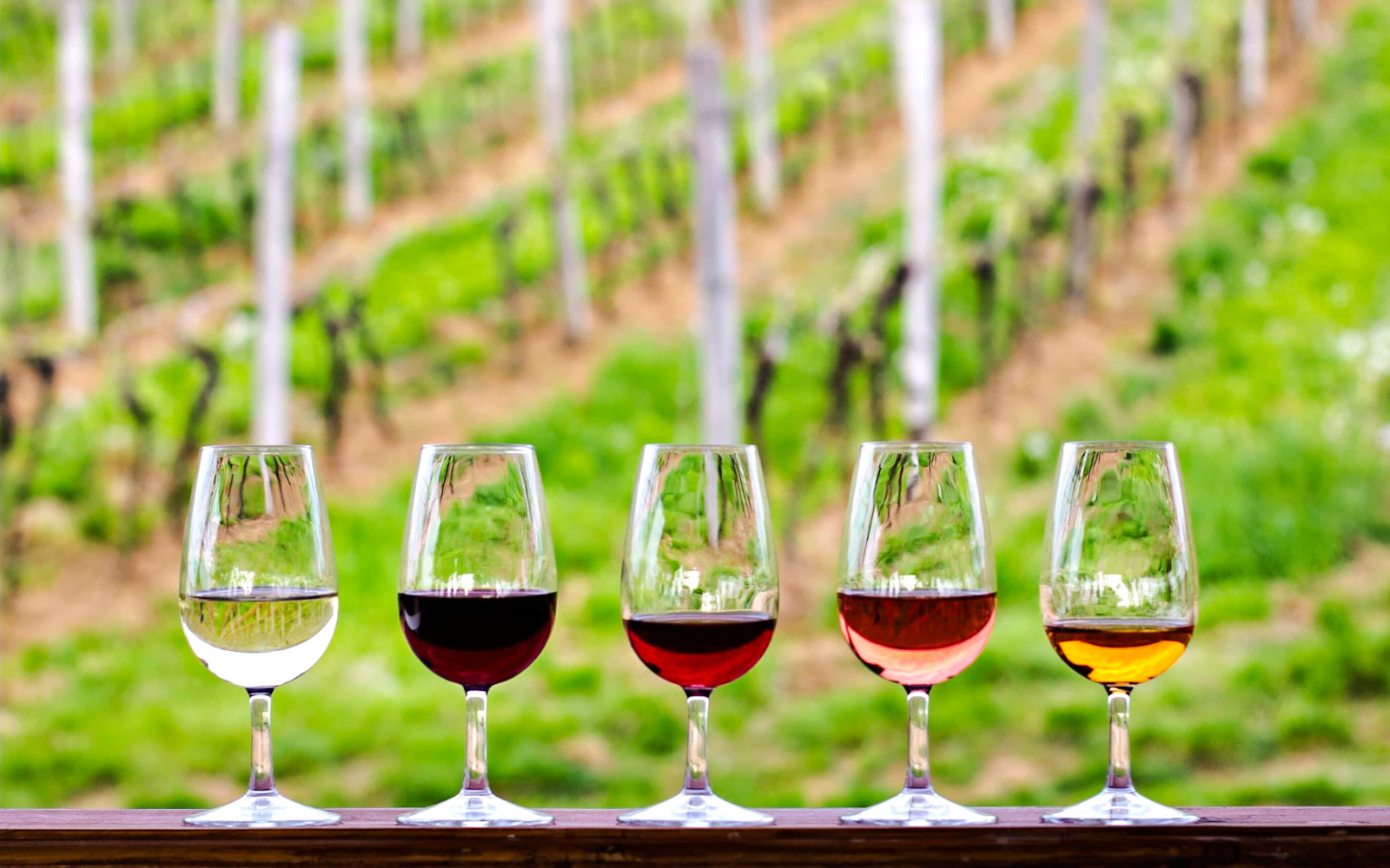 Rio de Janeiro Brazilian Wine Tasting with Round-Trip Hotel Transfers (Product 55788)