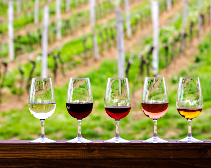 Rio de Janeiro Brazilian Wine Tasting with Round-Trip Hotel Transfers (Product 55788)