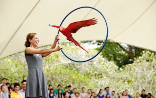 Singapore In December - Jurong Bird Park