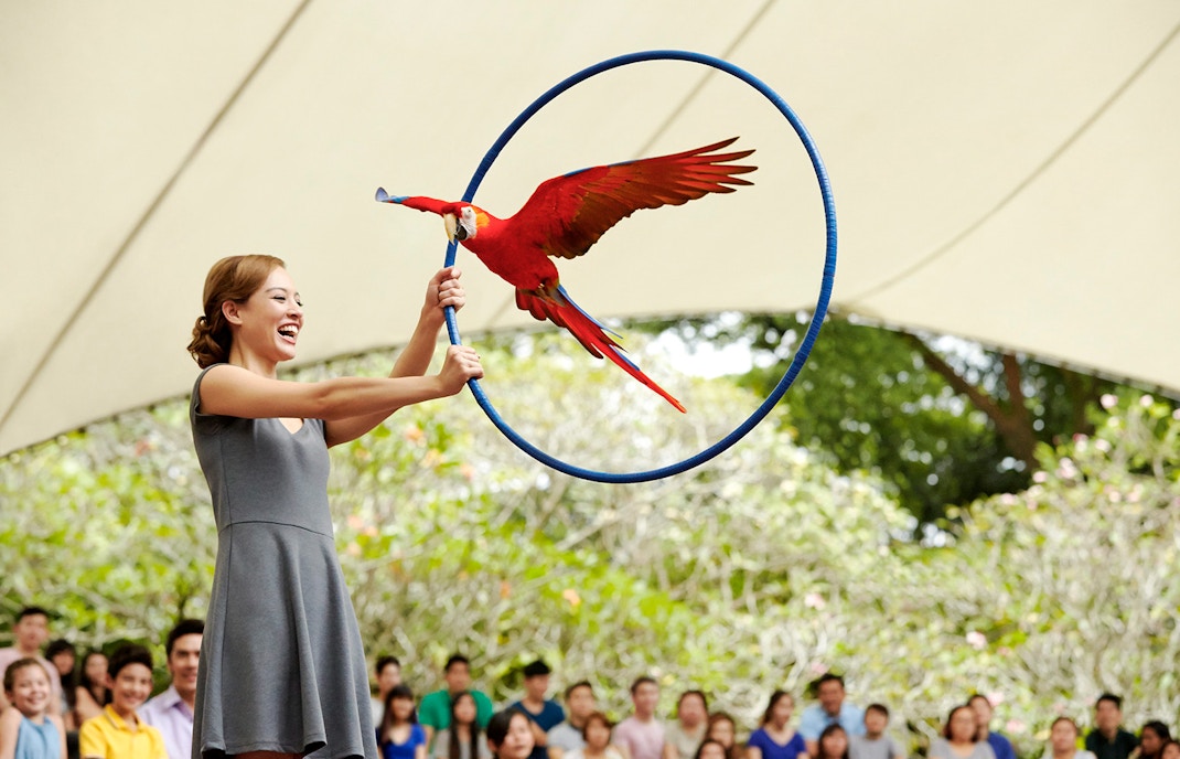 Visitors exploring Jurong Bird Park in Singapore, surrounded by vibrant flamingos in December.