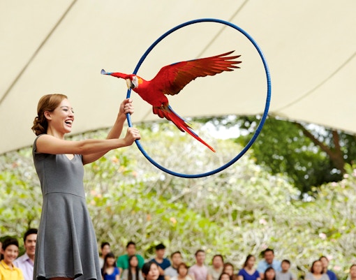 Mandai Wildlife Reserve - Bird Paradise