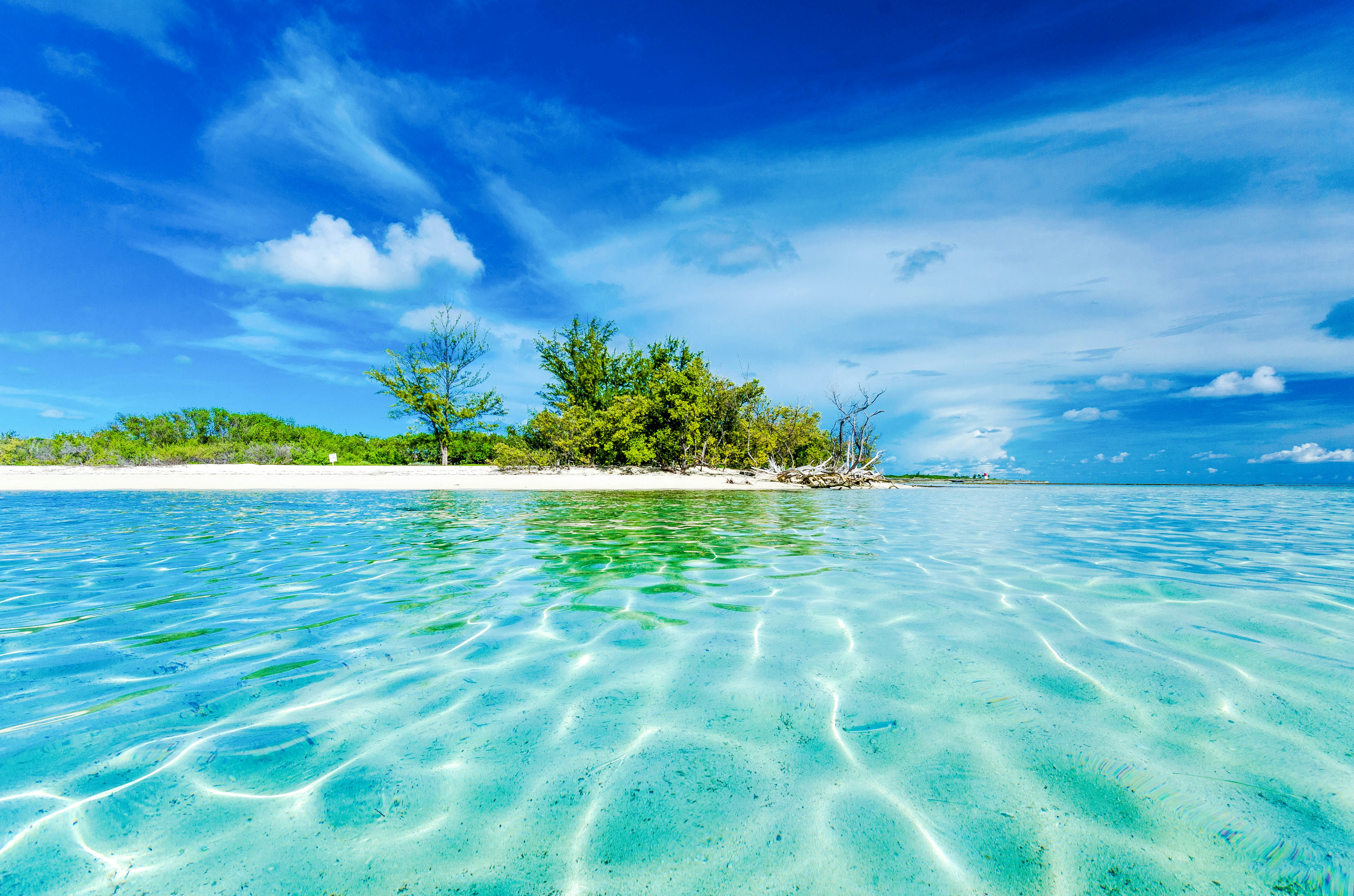 Clear waters surrounding a small islet in Bimini, Bahamas, with lush greenery and sandy shores.