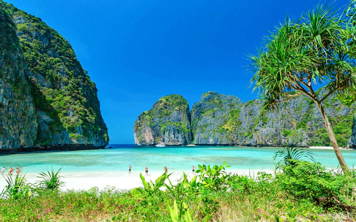 Phi Phi Islands beach with clear water and limestone cliffs, Phuket catamaran tour.