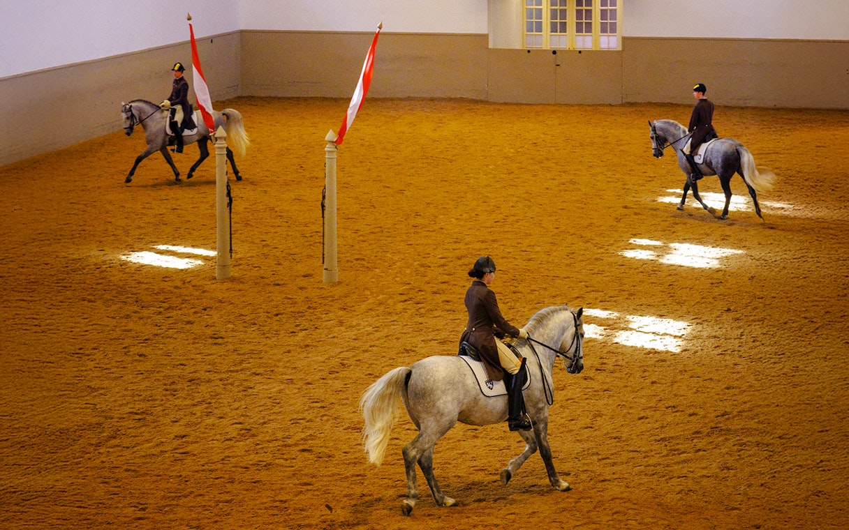 Riders practicing morning exercises with horses at the Spanish Riding School, Vienna.