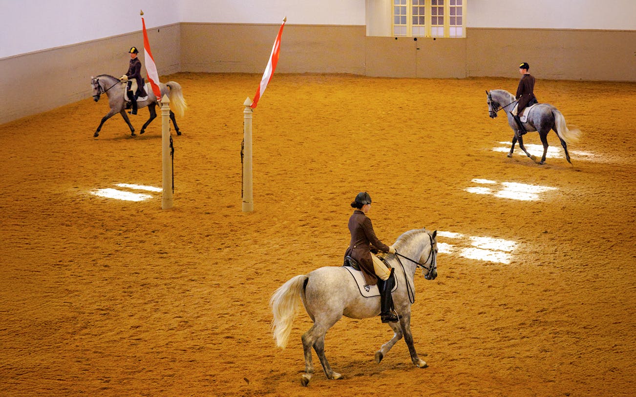 Riders practicing morning exercises with horses at the Spanish Riding School, Vienna.