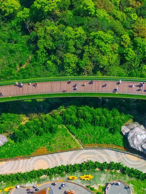 Golden Bridge held by giant hands in Ba Na Hills, Vietnam, surrounded by lush greenery.