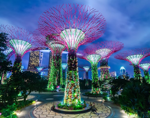 Gardens by the Bay - Borealis