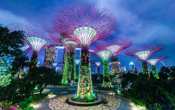 Supertree Grove illuminated during Gardens by the Bay Light Show in Singapore.