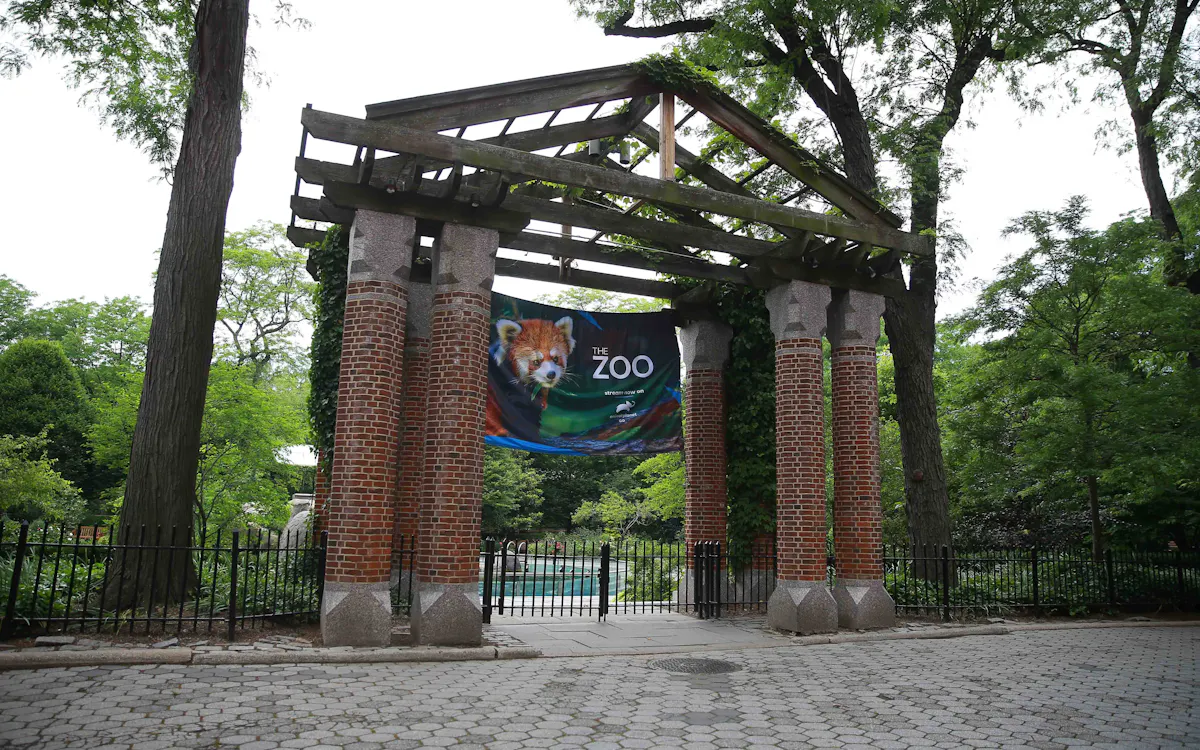 central park new york - things to do