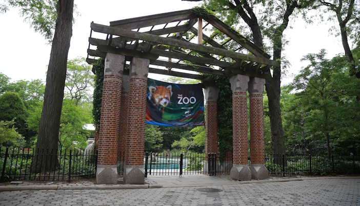 Penguins swimming in the Central Park Zoo's aquatic exhibit, New York City.