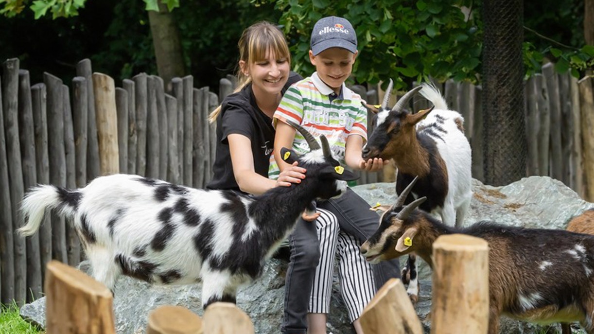 Children interacting with goats at the Schönbrunn Zoo petting area.