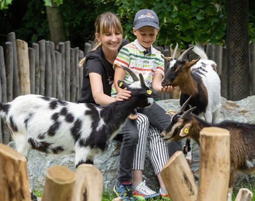 Our tendency to humanize animals