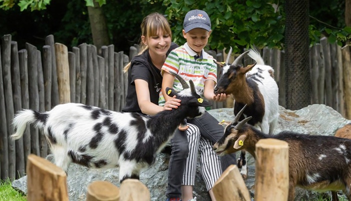 Visit the petting zoo - Schonbrunn Zoo