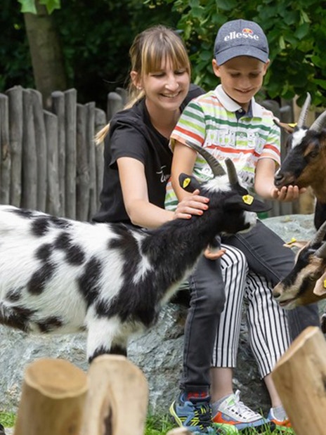 Children interacting with goats at the Schönbrunn Zoo petting area.