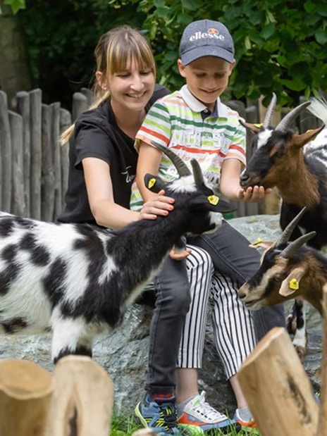 Children interacting with goats at the Schönbrunn Zoo petting area.