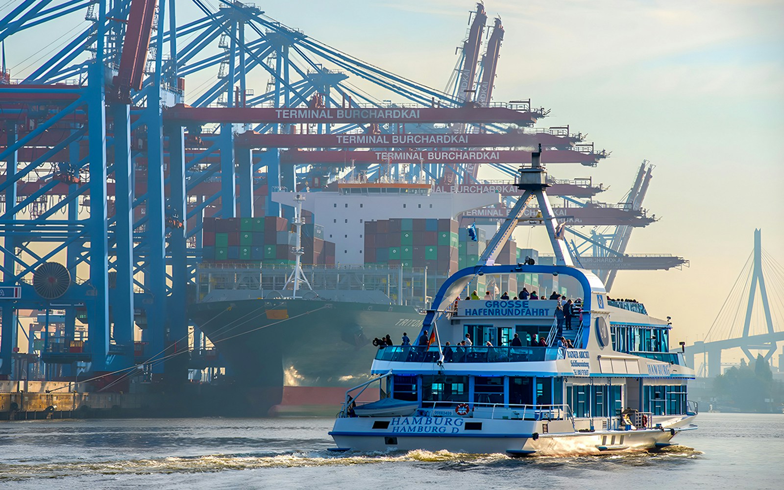 Cruise sailing through Hamburg Harbour