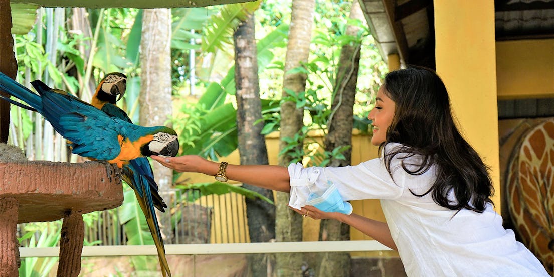 Vida selvagem em Langkawi