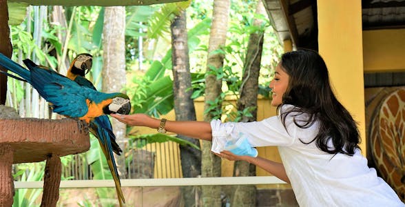 La fauna selvatica di Langkawi