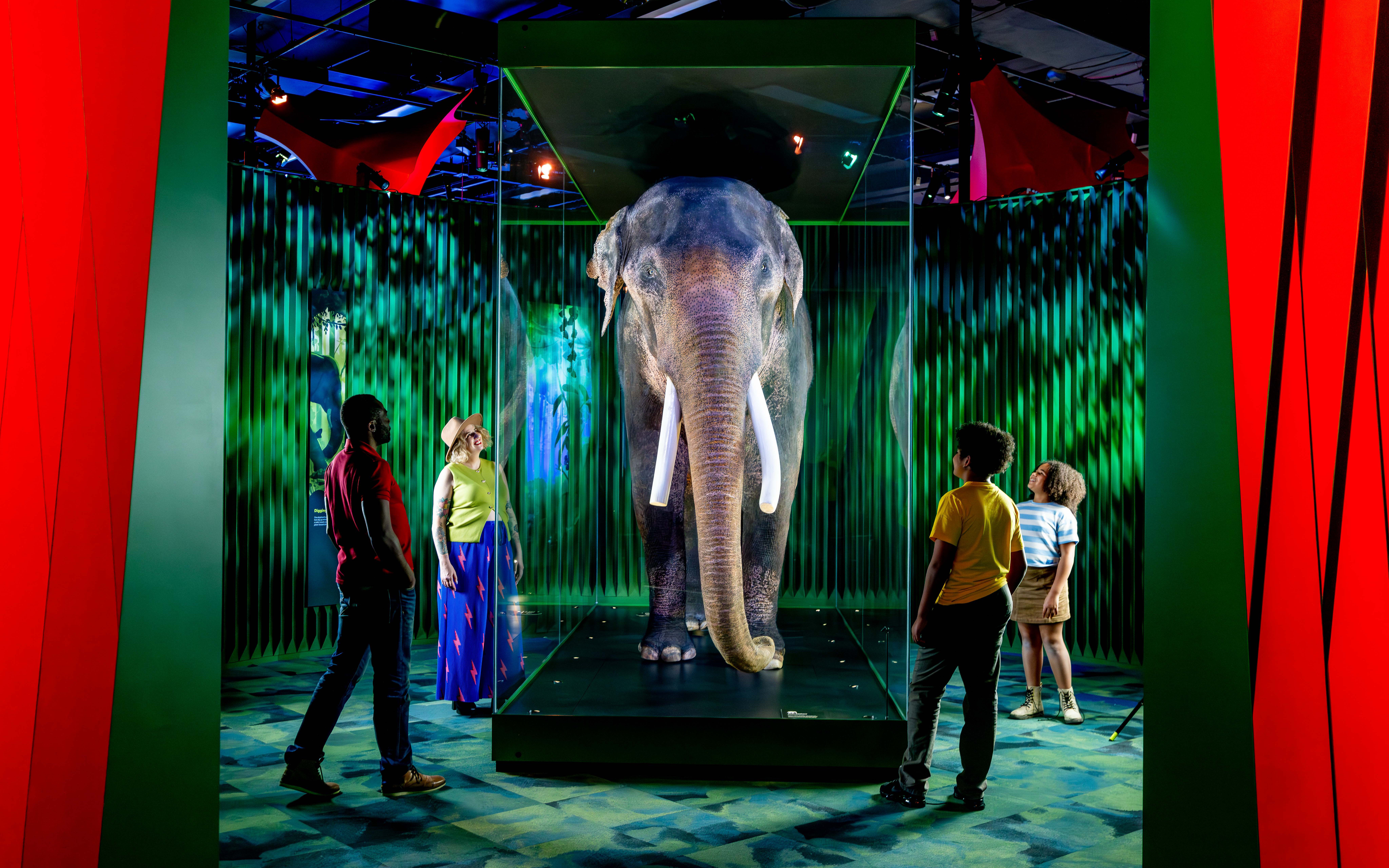 Family viewing elephant exhibit at Our Wondrous Planet, Melbourne Museum.