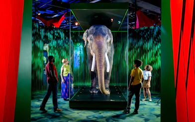 Family viewing elephant exhibit at Our Wondrous Planet, Melbourne Museum.