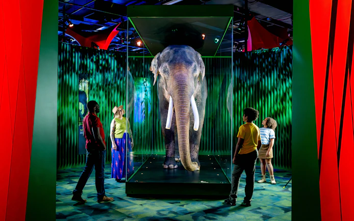 Family viewing elephant exhibit at Our Wondrous Planet, Melbourne Museum.