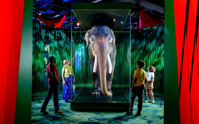 Family viewing elephant exhibit at Our Wondrous Planet, Melbourne Museum.