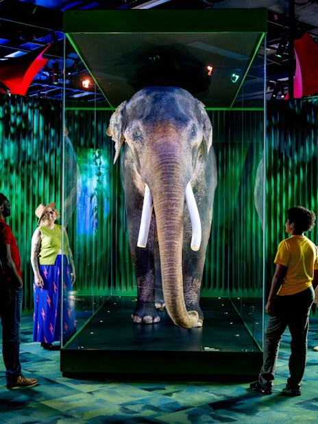 Family viewing elephant exhibit at Our Wondrous Planet, Melbourne Museum.